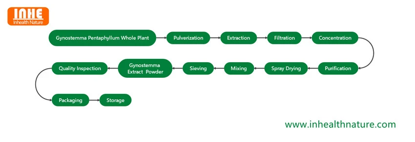 Gynostemma Extract Powder Flow Chart