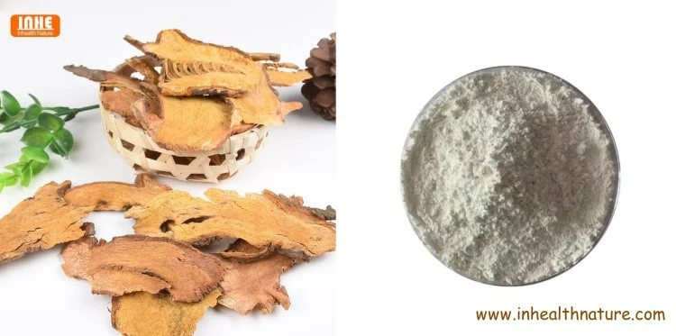 Polygonum Cuspidatum Dried Root and Water Soluble Resveratrol Powder