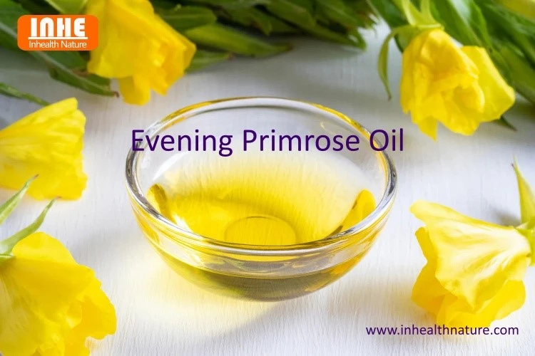 Evening Primrose Oil Evening Primrose Oil