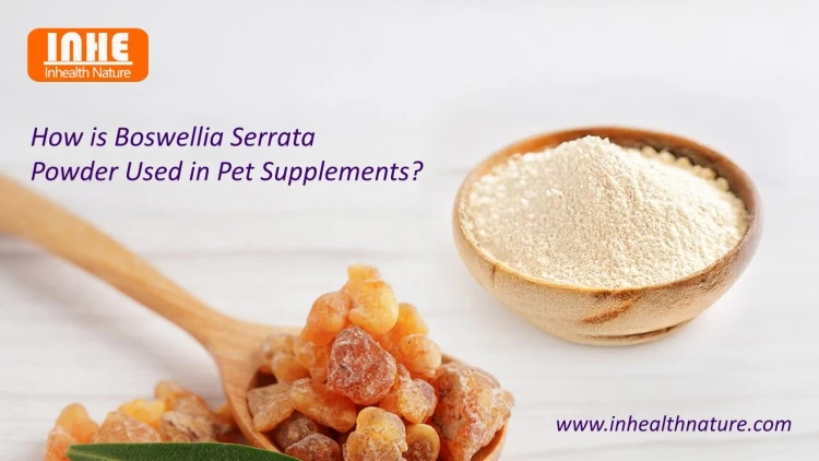 How is Boswellia Serrata Powder Used in Pet Supplements