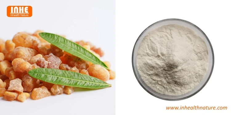 Boswellia Serrata and Boswellia Serrata Extract