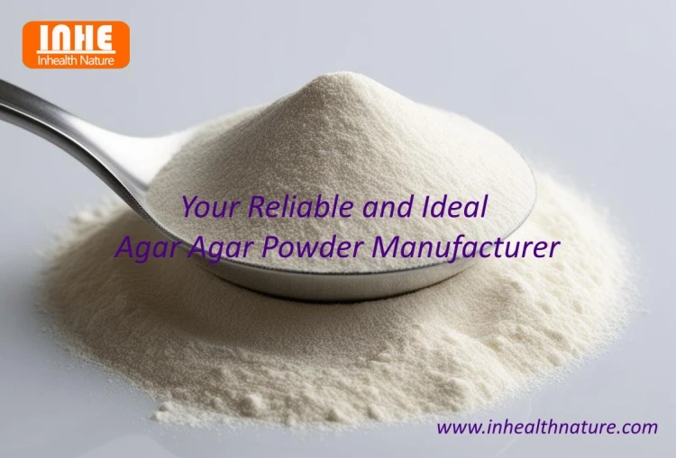 Your Reliable and Ideal Agar Agar Powder Manufacturer Your Reliable and Ideal Agar Agar Powder Manufacturer